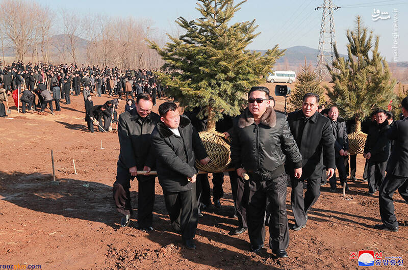 روز درخت کاری در کره شمالی/عکس