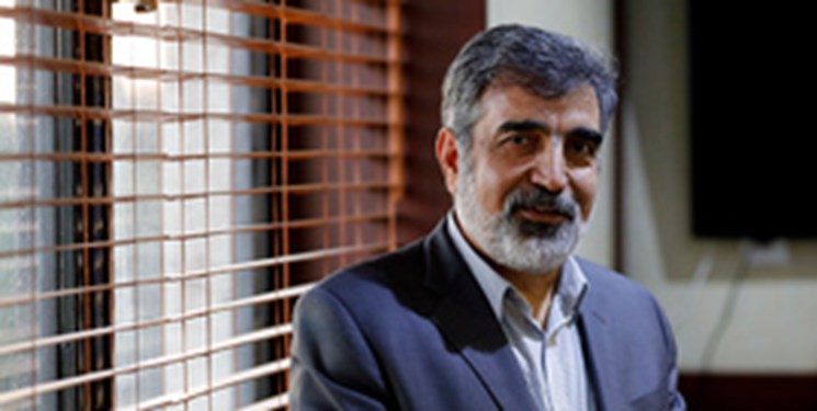 سفر بهروز کمالوندی سخنگوی سازمان انرژی اتمی به وین