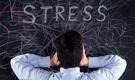 استرس می تواند باعث مرگ شود