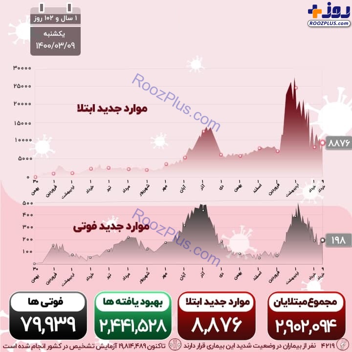 اینفوگرافیک/آخرین آمار قربانیان و مبتلایان کرونا در کشور