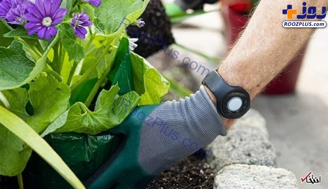 گجت سه گانه ویژه امنیت سالمندان +تصاویر
