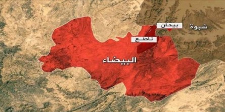 پیروزی میدانی جدید ارتش یمن در جبهه البیضاء