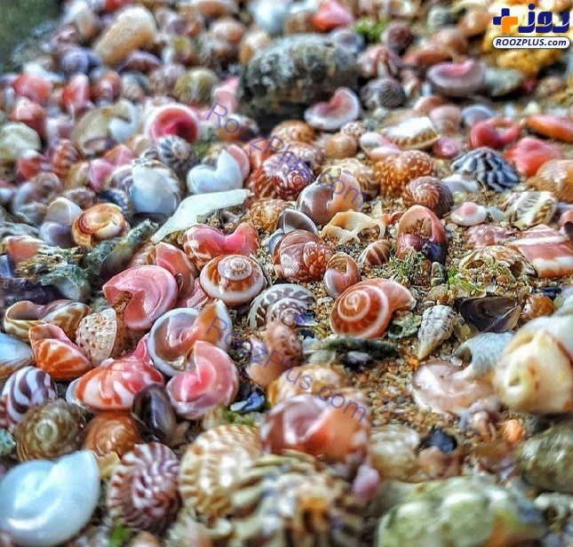 تصاویری باورنکردنی از زیبایی جزیره قشم