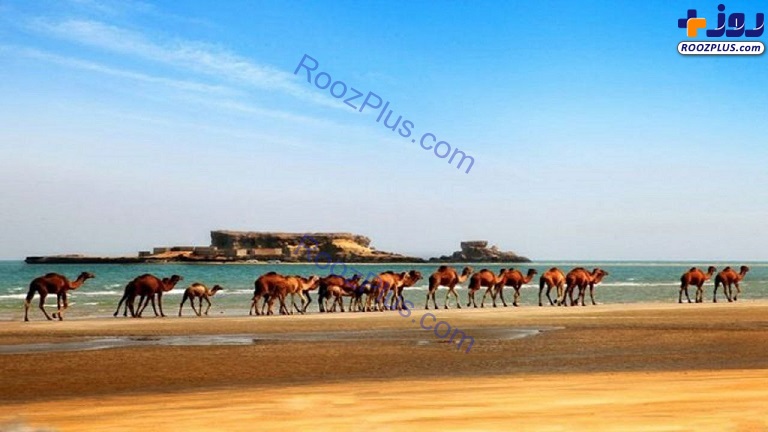 تصاویری باورنکردنی از زیبایی جزیره قشم