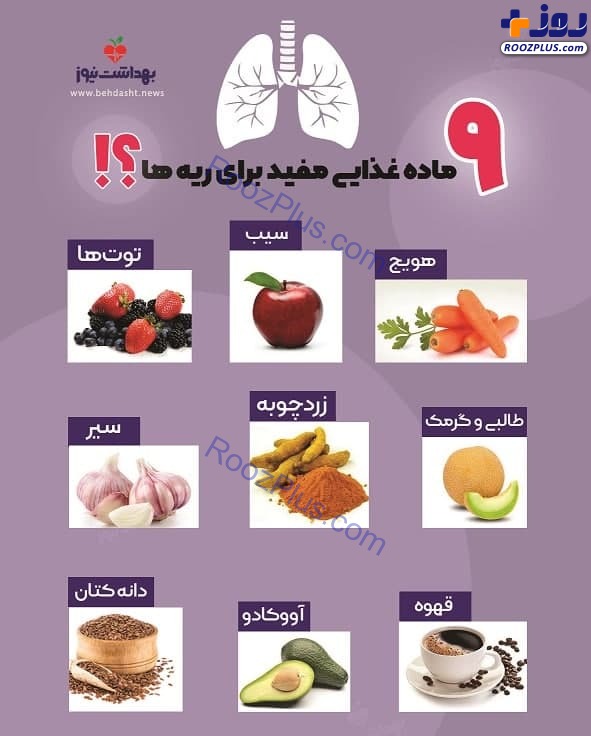 اینفوگرافی/ 9 ماده غذایی مفید برای ریه‌ ها