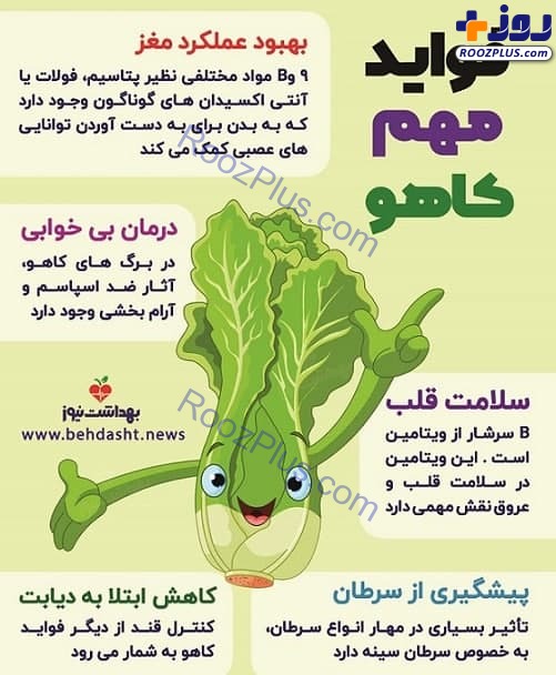 اینفوگرافی/ فواید مهم کاهو را بشناسید!