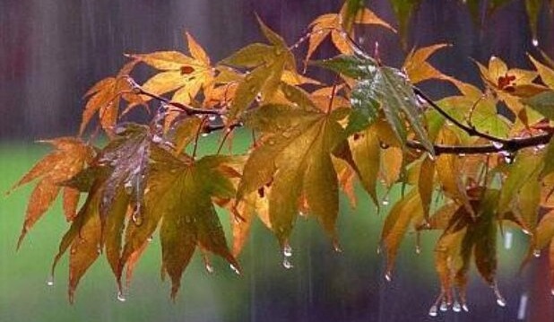 هواشناسی: آغاز بارش‌های پاییزی در اصفهان از نیمه دوم آبان/ هوای مناطق شرقی استان سردتر می‌شود