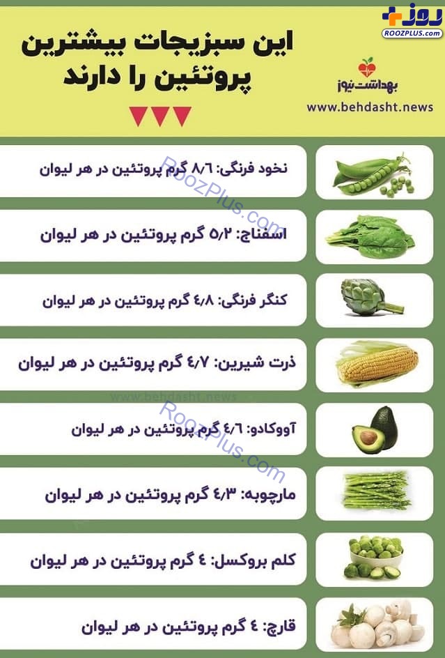 اینفوگرافیک/ این سبزیجات بیشترین پروتئین را دارند