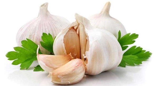 روش استفاده از سیر برای درمان قطعی التهاب لوزه را بشناسید