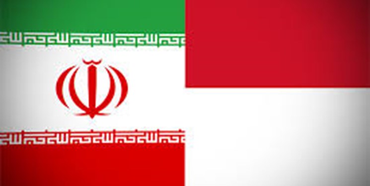 برگزاری هفتمین دور گفتگوهای حقوق بشری بین ایران و اندونزی