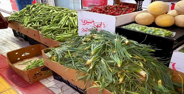 بهار و طعم خوش گیاهی نام آشنا در خراسان شمالی