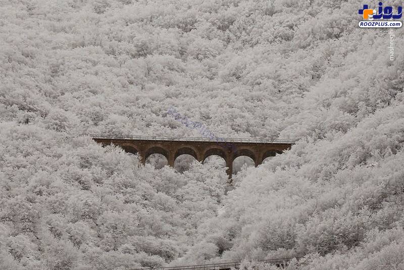 عکس/ پل تاریخی ورسک