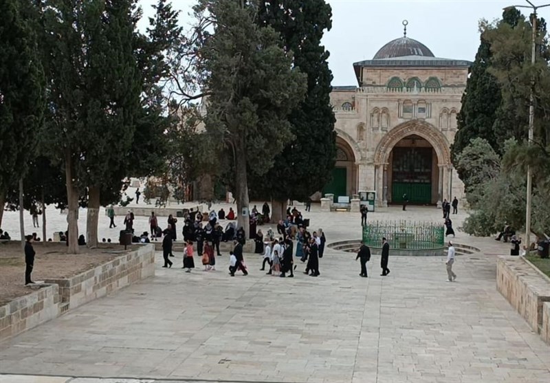افزایش شمار زخمی‌های فلسطینی در مسجدالاقصی/ جهاد اسلامی: مقاومت معادله جدیدی مقابل اشغالگران ترسیم کرده است