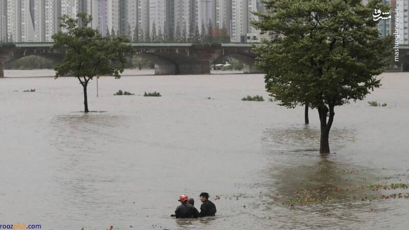 عکس/ شدیدترین طوفان سال در کره جنوبی