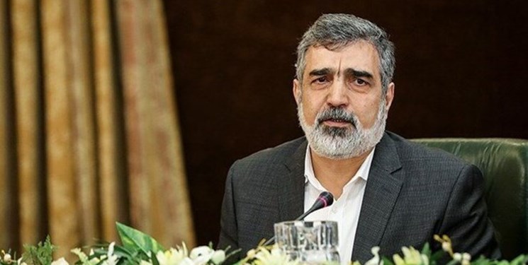 کمالوندی: بزودی خبرهای خوبی در حوزه راکتور و رادیودارو اعلام می‌شود