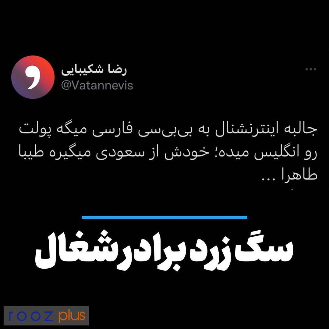 سگ زرد برادر شغال