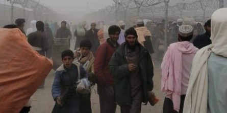 واکنش پاکستان به درگیری مرزی با طالبان