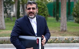 واکنش وزیر فرهنگ به حاشیه های حمید فرخ نژاد