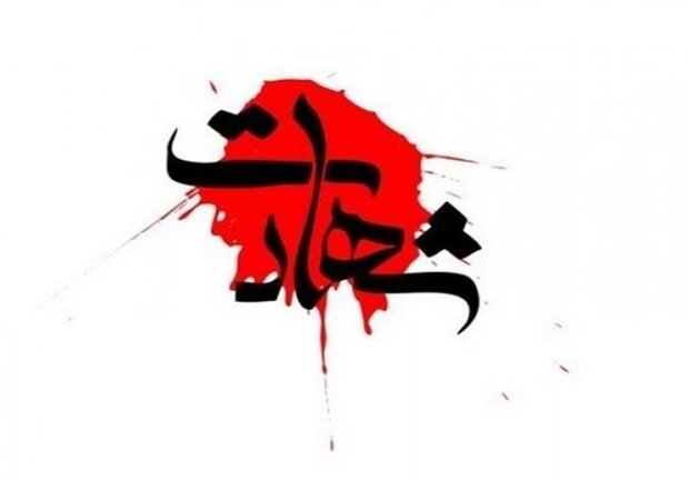 شهادت یک سرباز در زمان جلوگیری از سرقت در شهرستان بوشهر