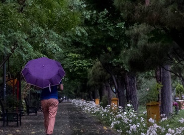 بارش باران در شمال کشور
