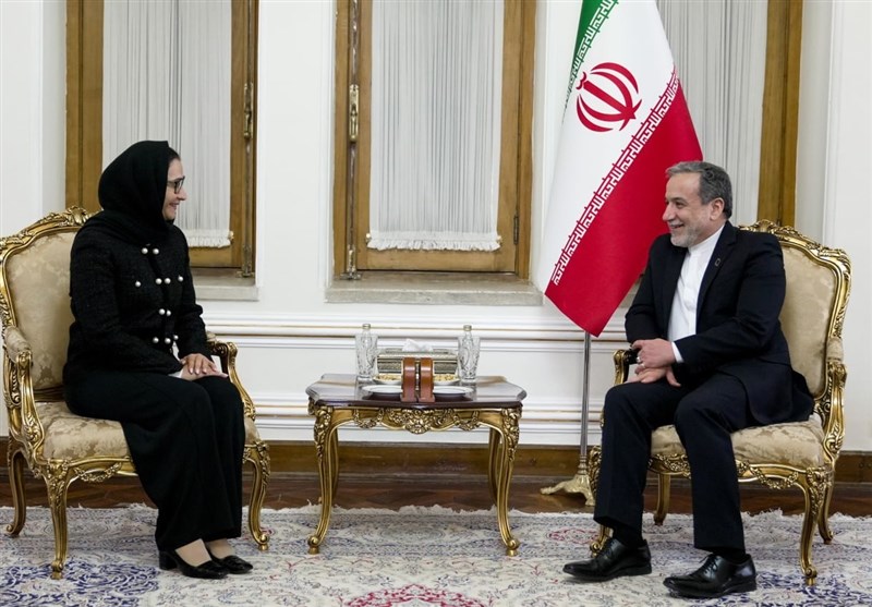 تاکید عراقچی بر همکاری با نهادهای وابسته به سازمان ملل تاکید عراقچی بر همکاری با نهادهای وابسته به سازمان ملل