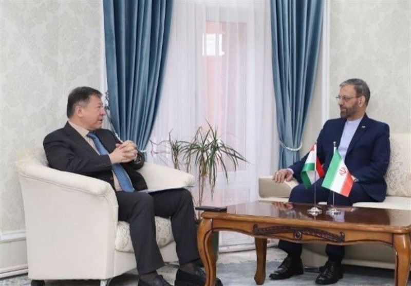تاکید سفیر ایران بر گسترش همکاریها با تاجیکستان تاکید سفیر ایران بر گسترش همکاریها با تاجیکستان