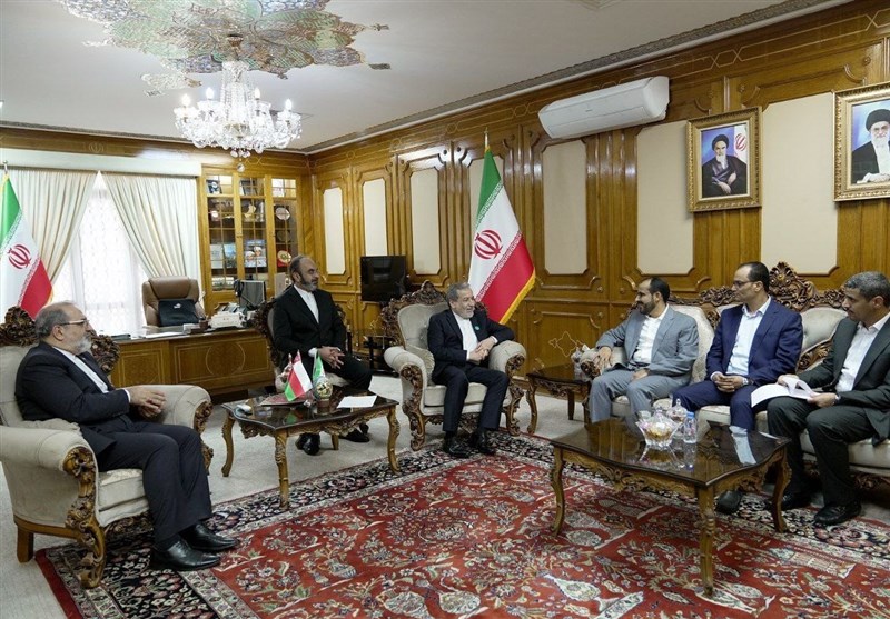 دیدار رئیس هیات مذاکره کننده دولت نجات ملی یمن با عراقچی دیدار رئیس هیات مذاکره کننده دولت نجات ملی یمن با عراقچی