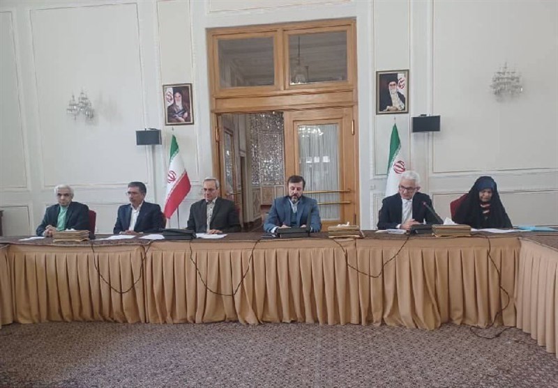 تاکید غریب آبادی بر ائتلاف سازی با کشورهای همسو تاکید غریب آبادی بر ائتلاف سازی با کشورهای همسو