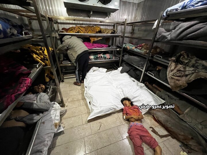 نسل کشی اسرائیل در نوار غزه/ ۵۸۰ شهید و مجروح برجای گذاشت نسل کشی اسرائیل در نوار غزه/ ۵۸۰ شهید و مجروح برجای گذاشت