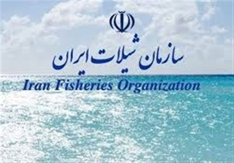 عملیات بازسازی ذخایر آبزیان آغاز شد عملیات بازسازی ذخایر آبزیان آغاز شد