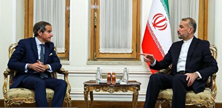 همکاری ایران و آژانس تحت تاثیر رفتار بی‌ثبات و متناقض آمریکا قرار نگیرد/ همکاری ها باید در مسیر درست خود ادامه یابد