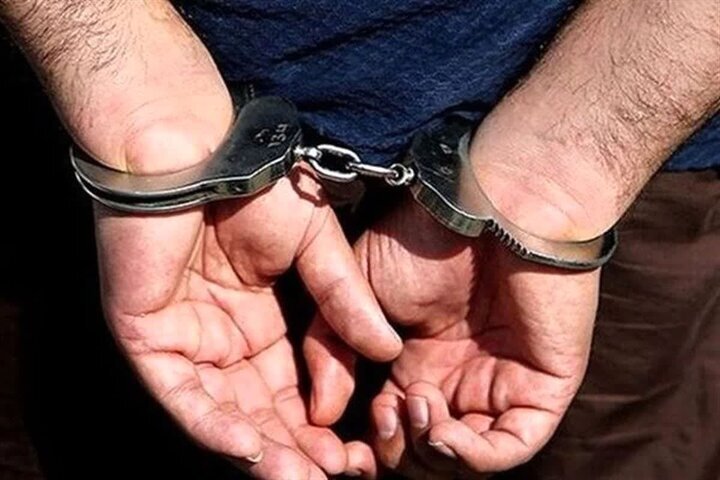 شرور مسلح نارمک دستگیر شد