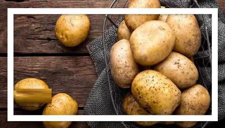 فواید بینظیر سیب زمینی برای سلامتی فواید بینظیر سیب زمینی برای سلامتی