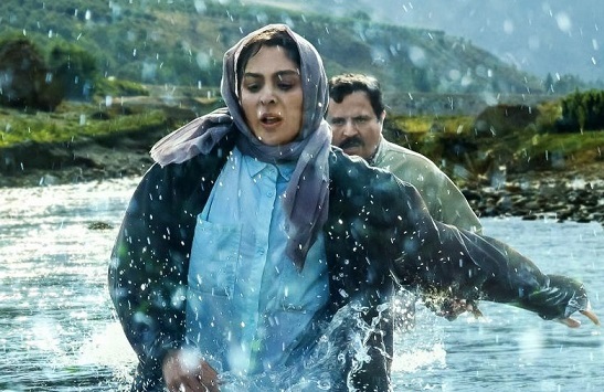 «در آغوش درخت» نماینده سینمای ایران در آکادمی اسکار ۲۰۲۵/ با رای هیئت انتخاب معرفی نماینده سینمای ایران «در آغوش درخت» نماینده سینمای ایران در آکادمی اسکار ۲۰۲۵/ با رای هیئت انتخاب معرفی نماینده سینمای ایران