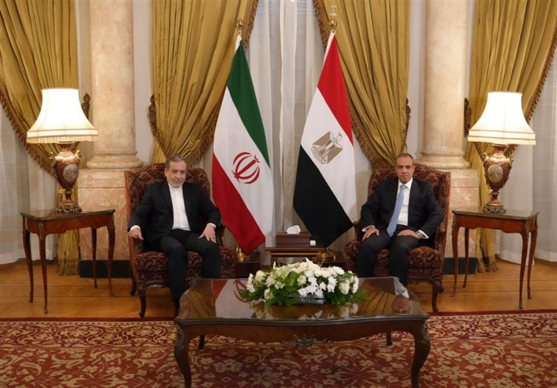 دیدار عراقچی با وزیر خارجه مصر دیدار عراقچی با وزیر خارجه مصر