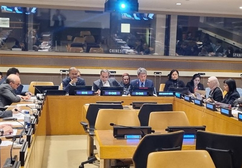 برگزاری نشست مشترک وزرای عضو اکو و آسهآن در نیویورک برگزاری نشست مشترک وزرای عضو اکو و آسهآن در نیویورک