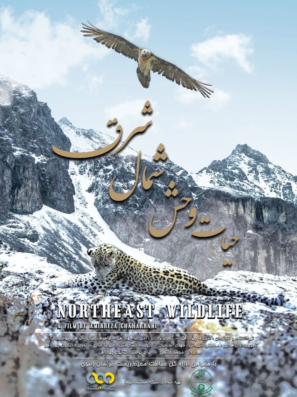 مستند , سینما , تلویزیون ,