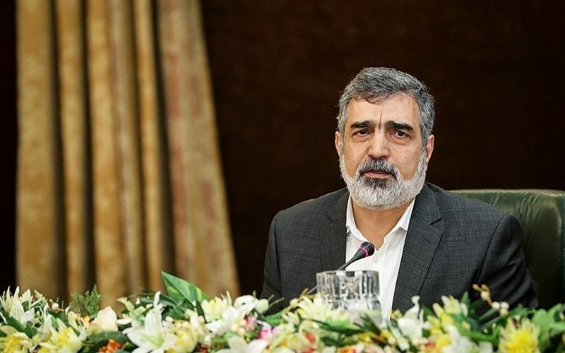 کمالوندی: قرار نبود توقف غنی سازی ۶۰ درصد داشته باشیم کمالوندی: قرار نبود توقف غنی سازی ۶۰ درصد داشته باشیم