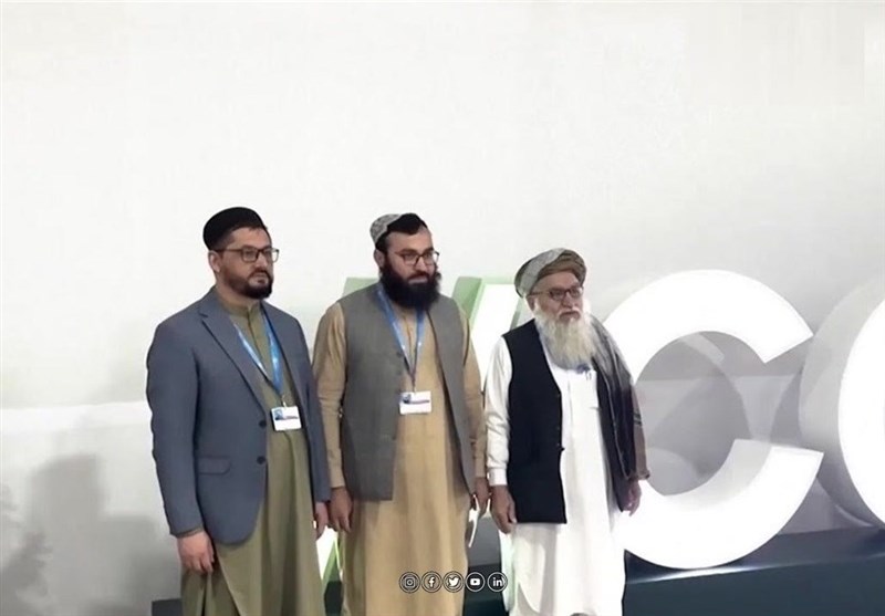 تعاملات محیطزیستی، راهی برای ارتباط با طالبان تعاملات محیطزیستی، راهی برای ارتباط با طالبان