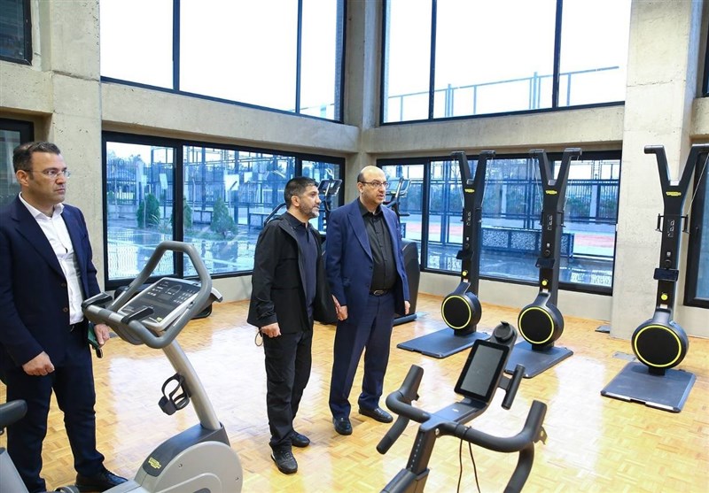 فدراسیون کشتی جمهوری اسلامی ایران , مهدی علینژاد , علیرضا دبیر ,