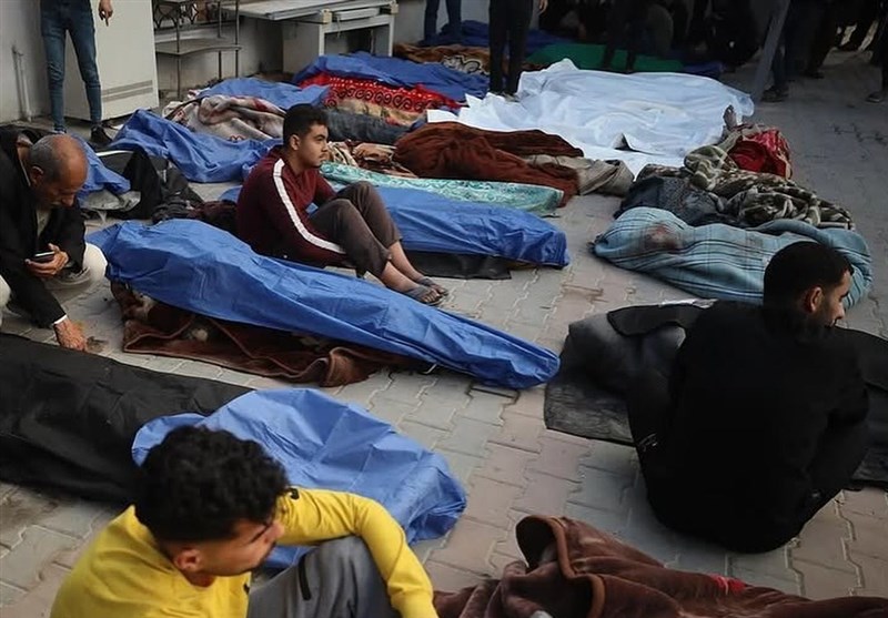 قتلعام بیش از ۸۰۰ نفر در کمتر از ۹ روز/ تجاوزات مستمر آمریکا به خاک یمن قتلعام بیش از ۸۰۰ نفر در کمتر از ۹ روز/ تجاوزات مستمر آمریکا به خاک یمن