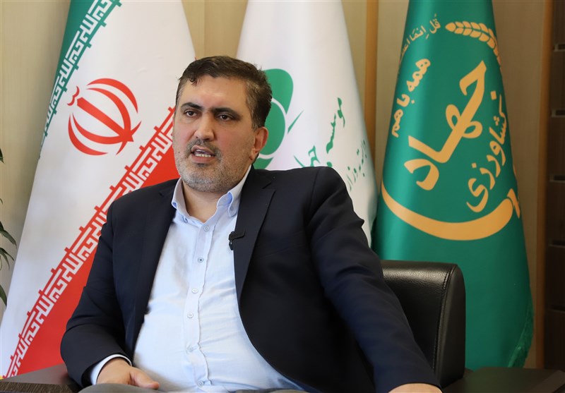۹۰ درصد برنج‌های وارداتی توسط بخش خصوصی مختلط است