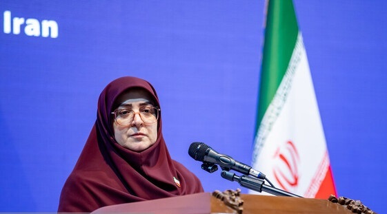 قمار روی خاندانهای شکستخورده تاریخی محکوم به ناکامی است قمار روی خاندانهای شکستخورده تاریخی محکوم به ناکامی است