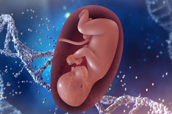 بارداری پوچ چیست و چرا اتفاق می‌افتد؟/ از تشخیص تا اقدامات ضروری