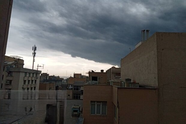 تروریسم زیست‌محیطی/ جنایتی دیگر از رژیم‌های تروریستی آمریکا و صهیونیست