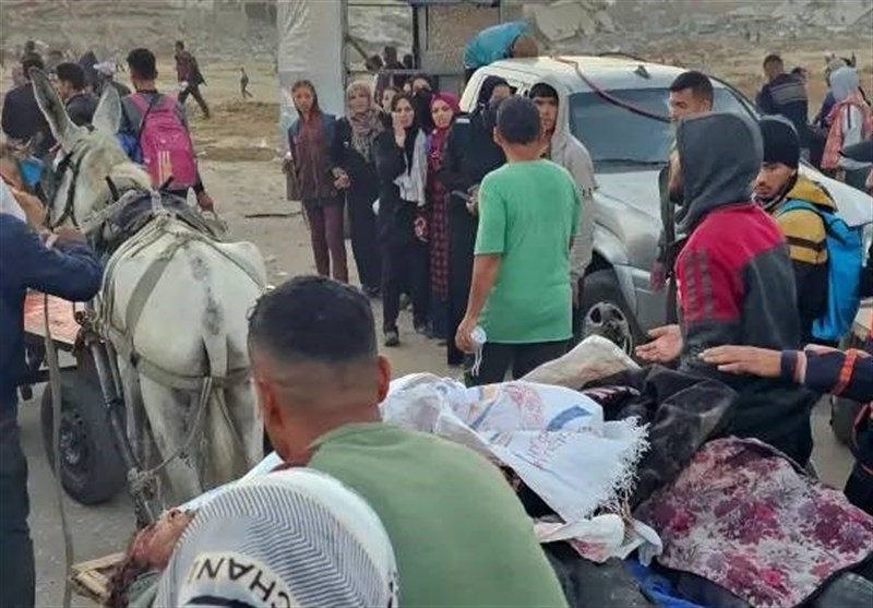 جزئیات جنایت وحشیانه اسرائیل علیه گرسنگان با مشارکت آمریکا جزئیات جنایت وحشیانه اسرائیل علیه گرسنگان با مشارکت آمریکا
