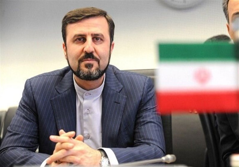 غریب آبادی: اقدام سیاست زده همکاری با آژانس را مشکل میکند غریب آبادی: اقدام سیاست زده همکاری با آژانس را مشکل میکند