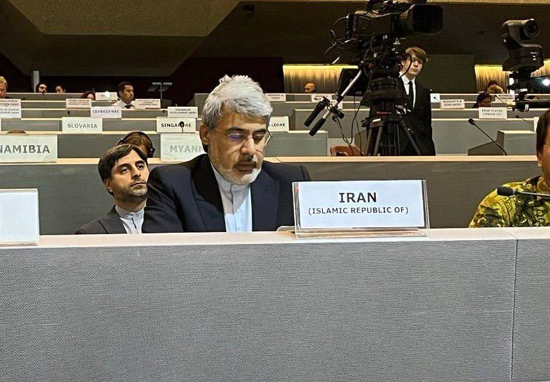 تأکید سفیر ایران بر لزوم بیطرفی اقدامات جهانی کاهش بلایا تأکید سفیر ایران بر لزوم بیطرفی اقدامات جهانی کاهش بلایا