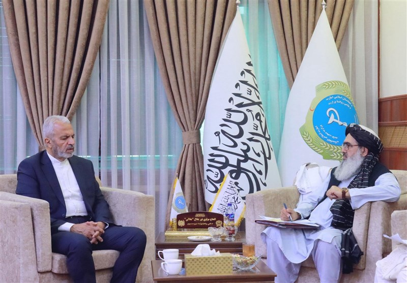 سفر وزیر بهداشت حکومت طالبان به ایران سفر وزیر بهداشت حکومت طالبان به ایران