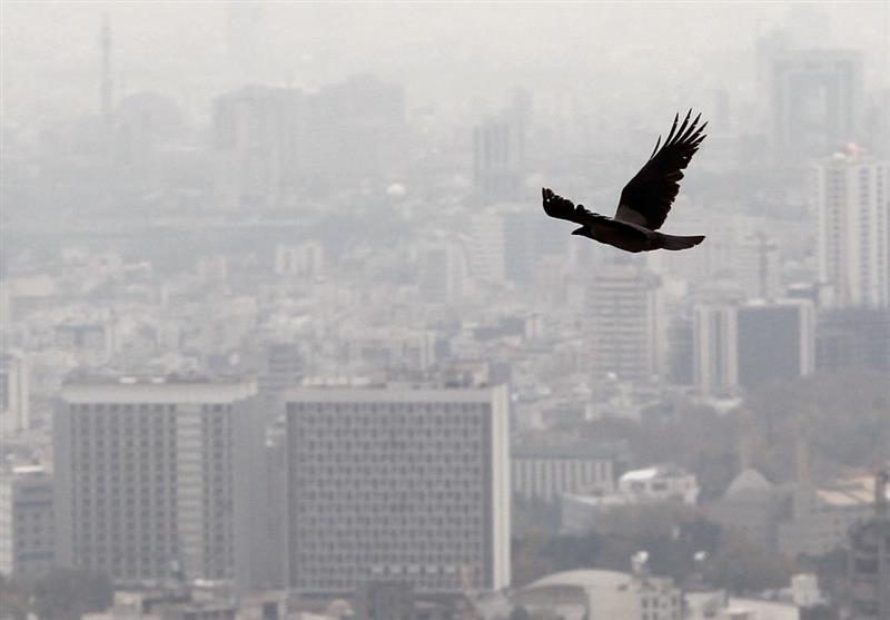 درخواست افزایش نرخ کمیسیون مشاوران املاک در اوج رکود بازار مسکن